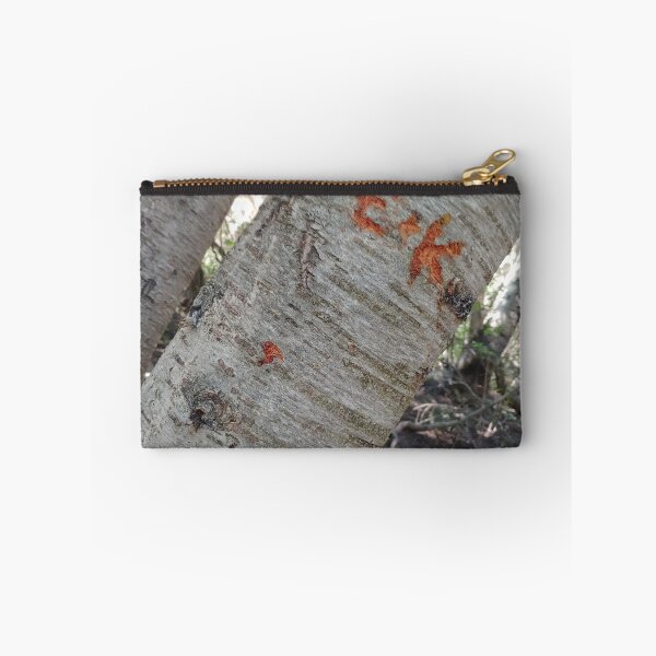 Item preview, Tree carving on an Aspen designed and sold by Stargazesprings.