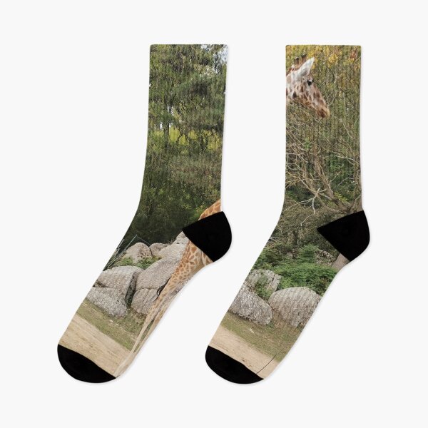 Item preview, Giraffe Parc de la Tete d'Or Lyon designed and sold by Axel20.