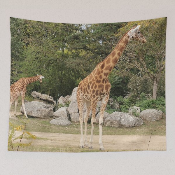 Item preview, Giraffe Parc de la Tete d'Or Lyon designed and sold by Axel20.