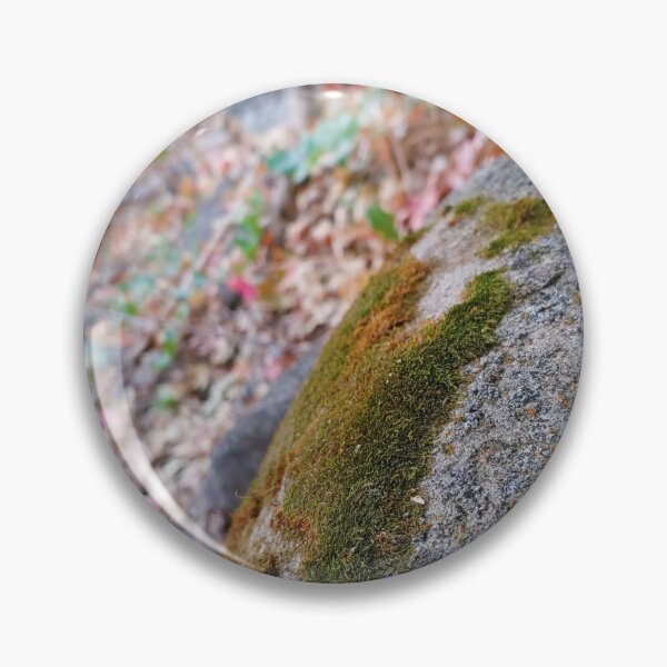 Artikelvorschau, Moosiger Felsen entworfen und verkauft von Stargazesprings.