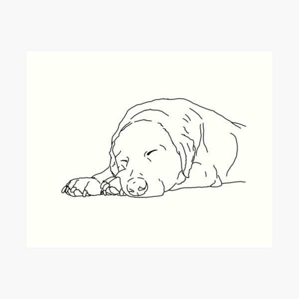 Sleeping Dog Line Art Art Print