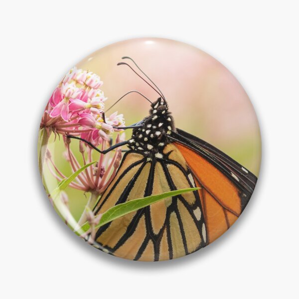 Item preview, Fall Monarch 2016-7 designed and sold by Thomasyoung.