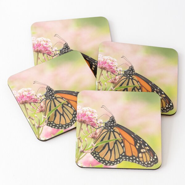 Item preview, Fall Monarch 2016-7 designed and sold by Thomasyoung.