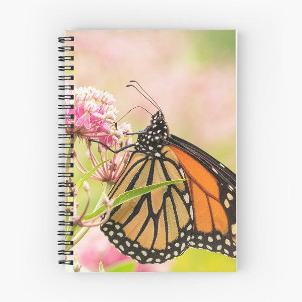 Item preview, Fall Monarch 2016-7 designed and sold by Thomasyoung.