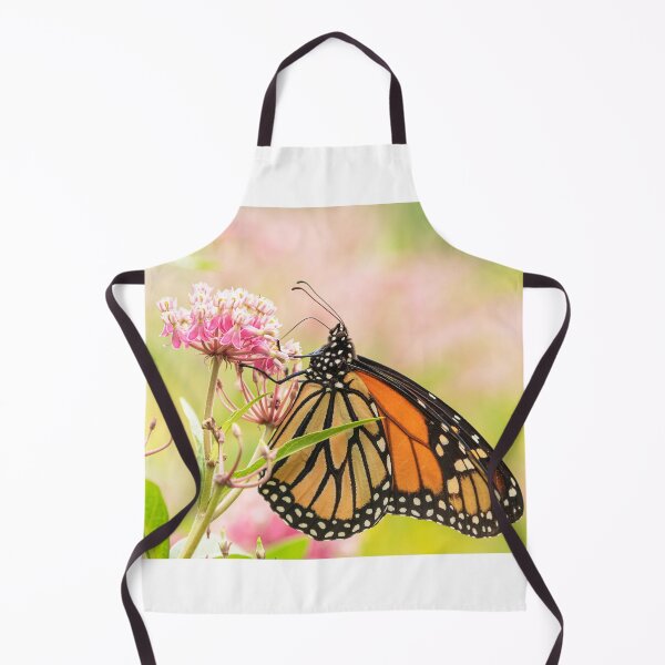Item preview, Fall Monarch 2016-7 designed and sold by Thomasyoung.