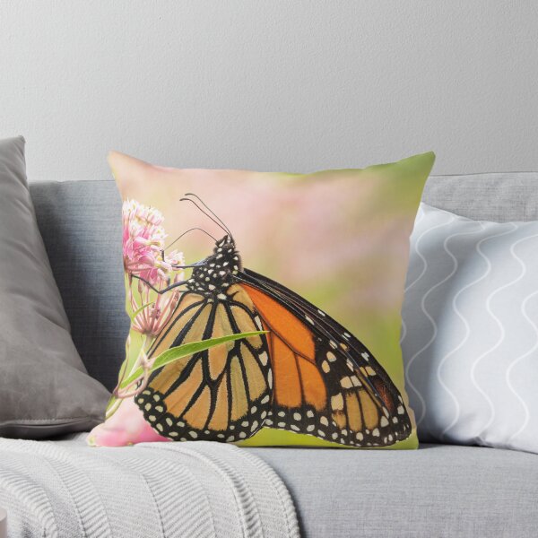 Item preview, Fall Monarch 2016-7 designed and sold by Thomasyoung.