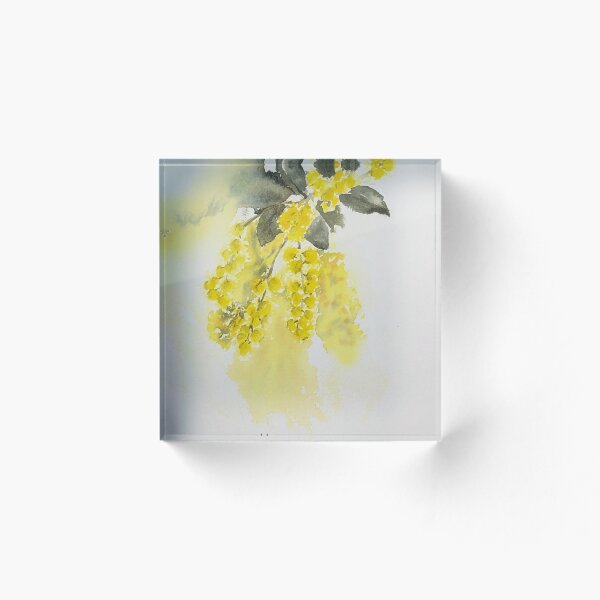 Item preview, Australian golden wattle watercolour designed and sold by MarionChapman.