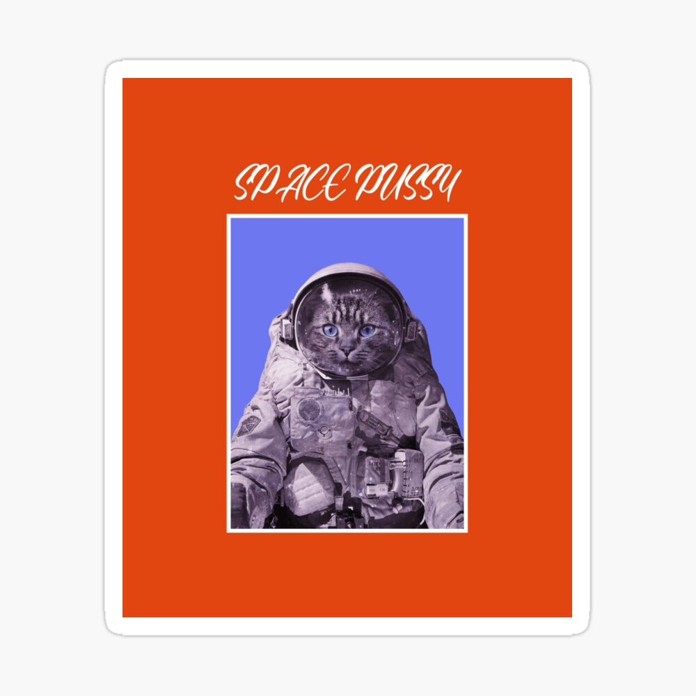 Space Pussy Poster for Sale by FinalVinyl | Redbubble