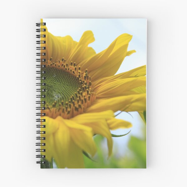 Item preview, Giant lushious sunflower designed and sold by Penni.