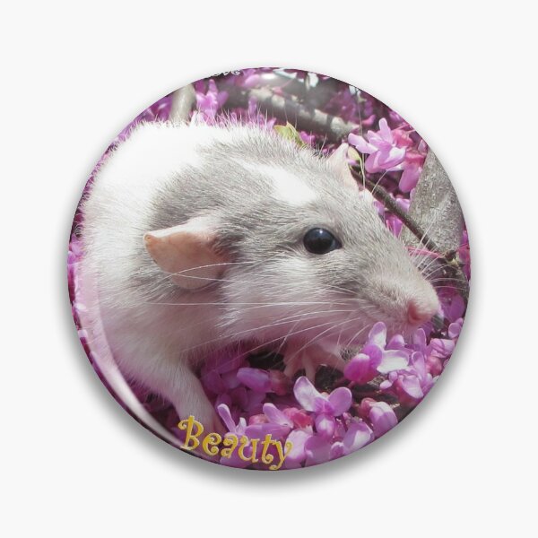 Pet Rat Rahab on a Rodent Reader Magazine Cover Pin