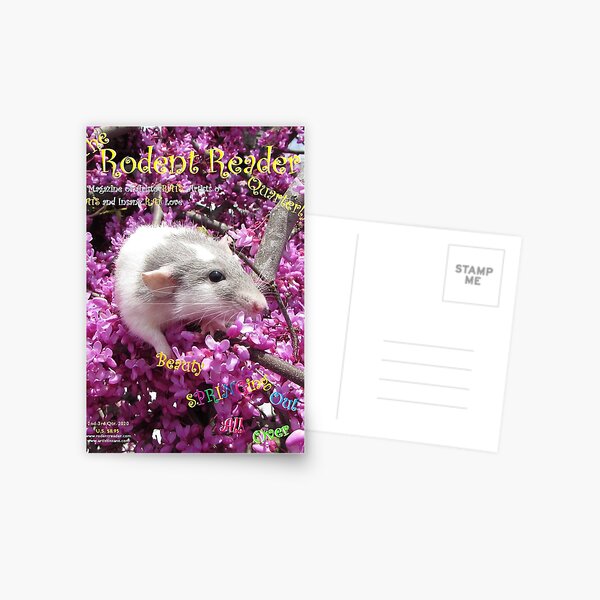 Pet Rat Rahab on a Rodent Reader Magazine Cover Postcard