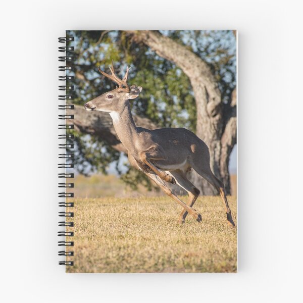 Item preview, Buck running through the field  designed and sold by BowToe.