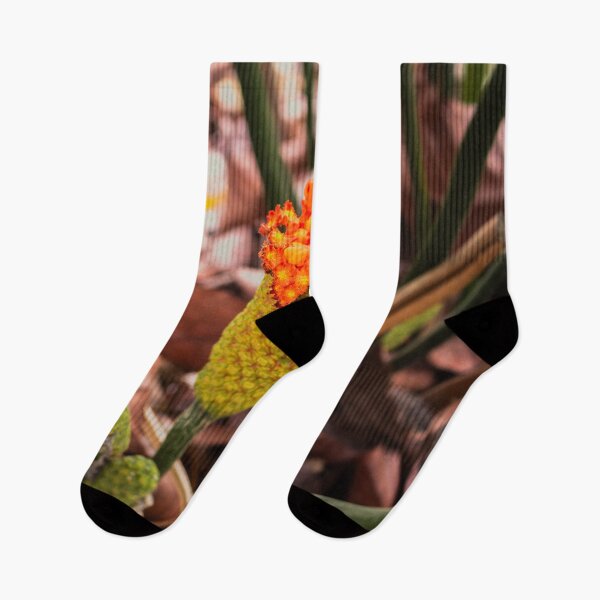 Item preview, Orange flamingo plants designed and sold by PBE-Store.