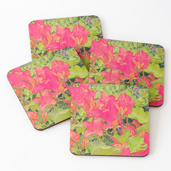 Item preview, Bouganville dark pink flowers amid green leaves designed and sold by Brasilia.