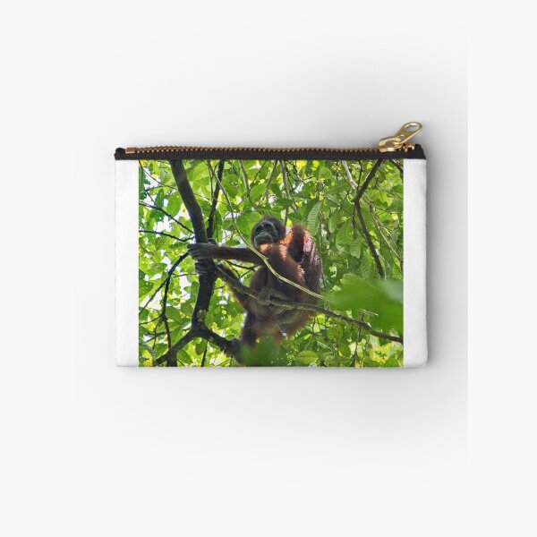 Item preview, Orangutan in Borneo Rainforest designed and sold by Photos by Phil.