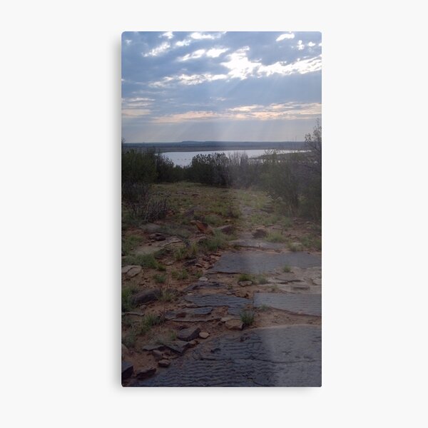 Early Morning Metal Print