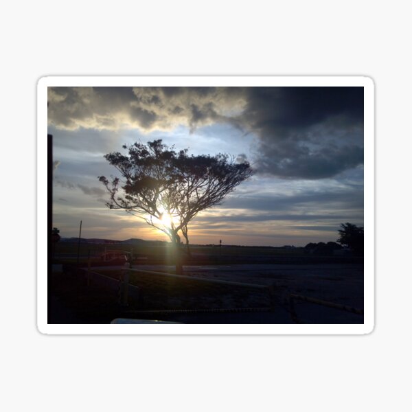 Sunset Sticker