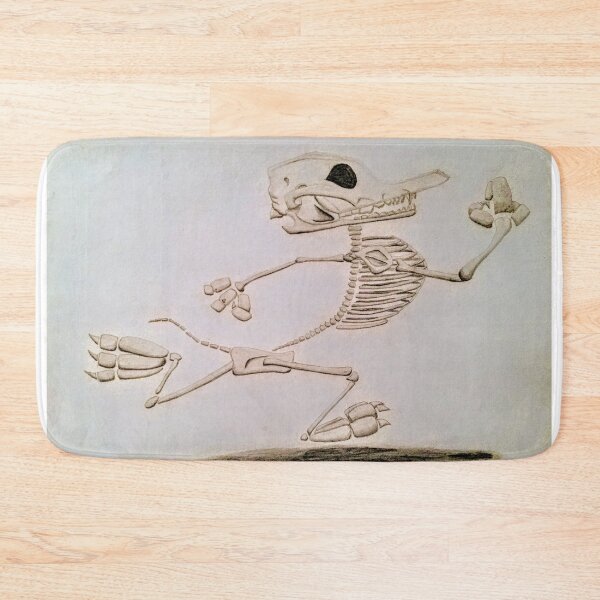 Item preview, Wylie Coyote Skeleton designed and sold by Bizmuth97.