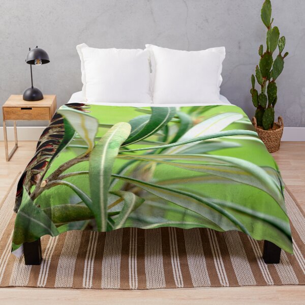 Item preview, Flora Australiana 1 designed and sold by Geoff Treagus.