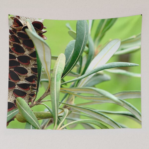 Item preview, Flora Australiana 1 designed and sold by Geoff Treagus.