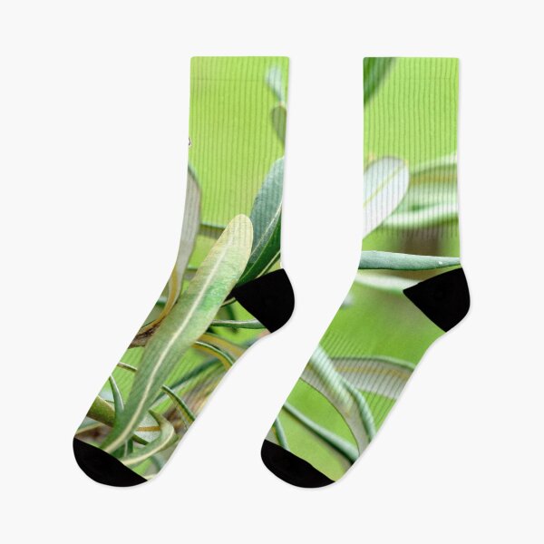 Item preview, Flora Australiana 1 designed and sold by Geoff Treagus.