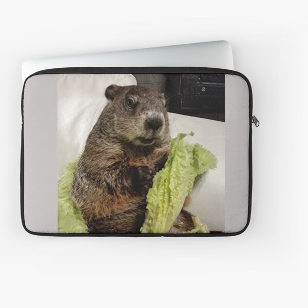 Groundhog Moses Eating Lettuce on Couch Laptop Sleeve