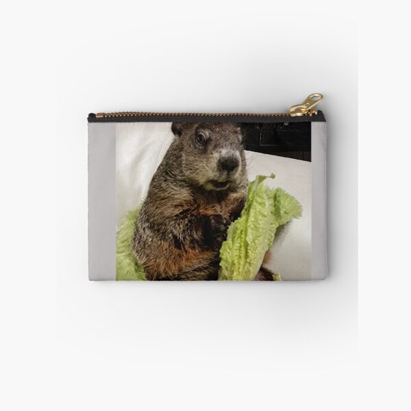 Aperçu de l'œuvre Groundhog Moses manger de la laitue sur un canapé créée et vendue par RodentReader.