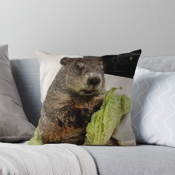 Artikelvorschau, Murmeltier Moses, der Salat auf der Couch isst entworfen und verkauft von RodentReader.