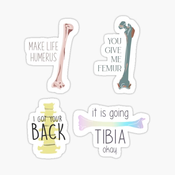 Anatomy Puns Pack Sticker