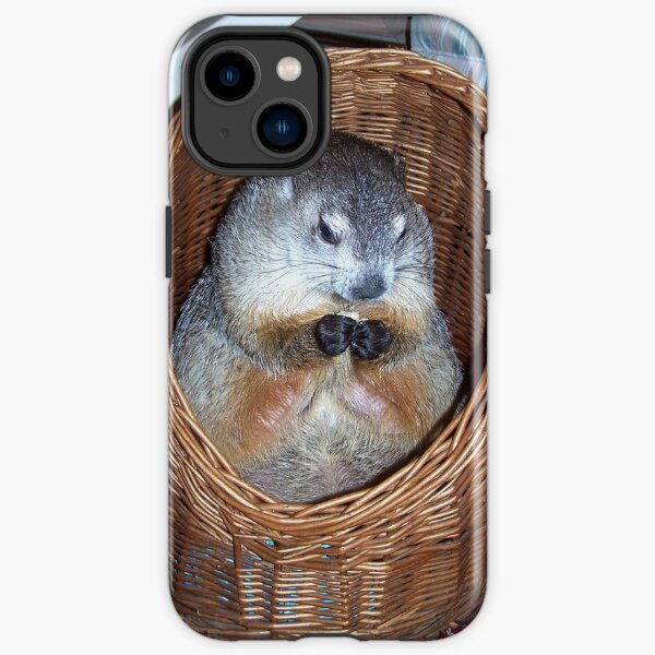 Groundhog Clara In Her Wicker Hideaway iPhone Tough Case