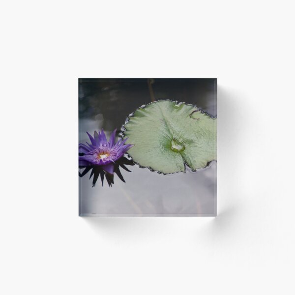 Item preview, Reflection of a Lily designed and sold by 7SistersGraphX.