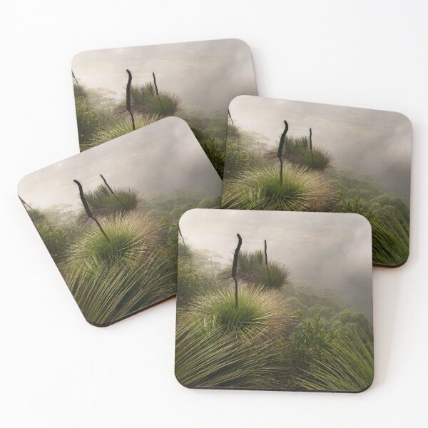 Item preview, On the Escarpment _ Border Ranges NSW designed and sold by Barbara Burkhardt.