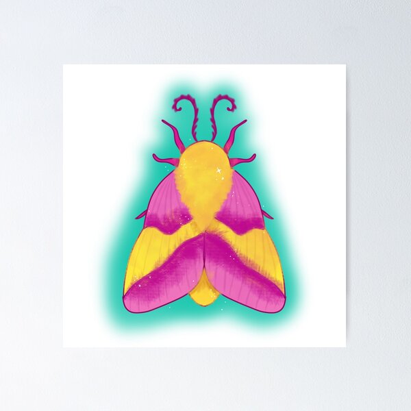 Rosy Maple Moth (large), an art print by Lo Rae Creates - INPRNT