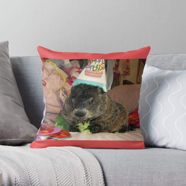 Groundhog Moses Celebrates His Birthday Throw Pillow