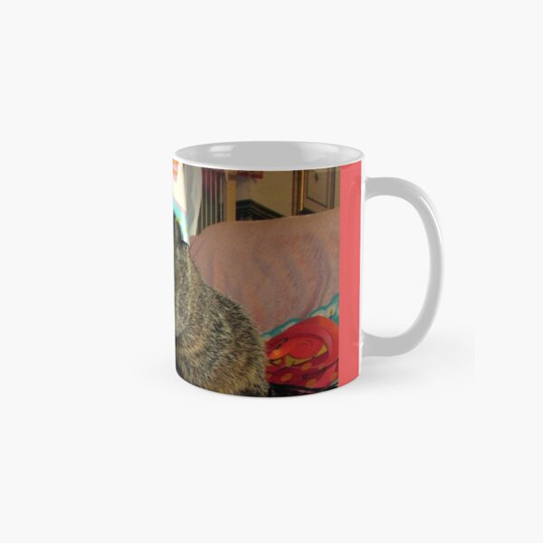 Groundhog Moses Celebrates His Birthday Classic Mug