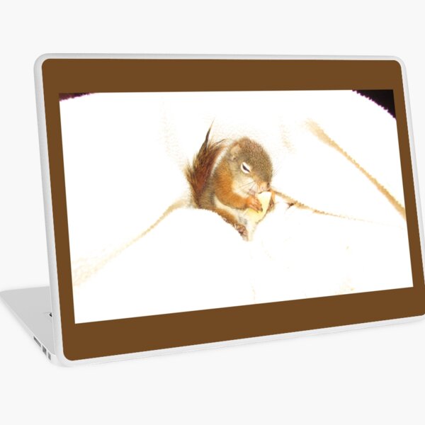 Baby Red Squireel Bluster Laptop Skin