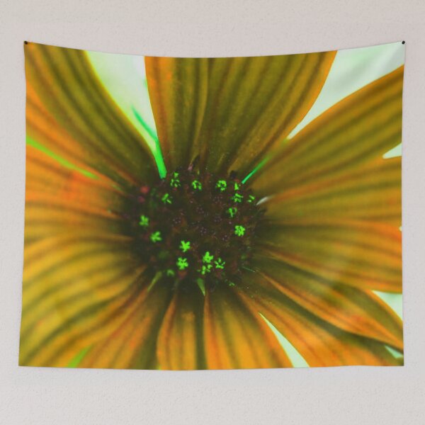Item preview, Orange Daisy Flower designed and sold by hearthearts.