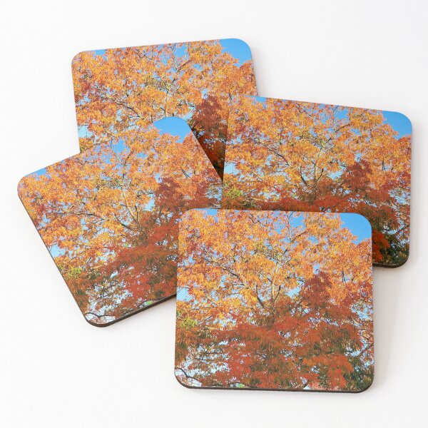 Item preview, Fall in all its Glory designed and sold by bertsworks300.