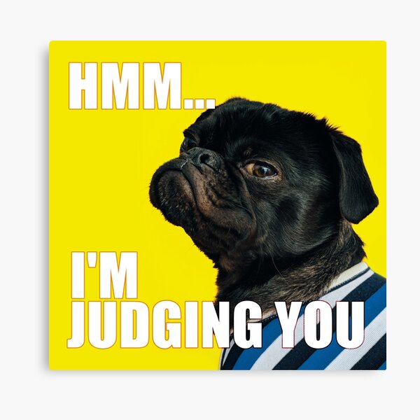 wit Uitsluiting Gestaag Dog Meme Face Canvas Prints for Sale | Redbubble