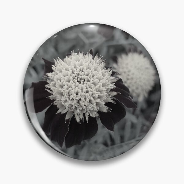 Item preview, Black & White Flower Macro Photography designed and sold by RobbieTaylor.