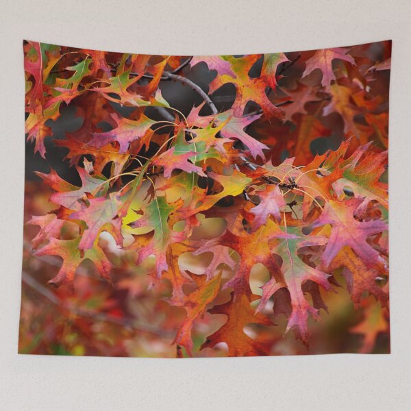 Item preview, Autumn leves designed and sold by Life Images by Jill .