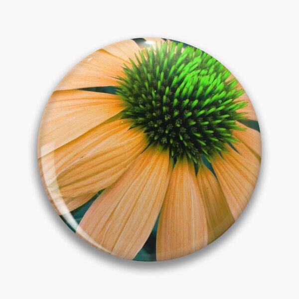 Item preview, Orange Coneflower Perennial designed and sold by hearthearts.