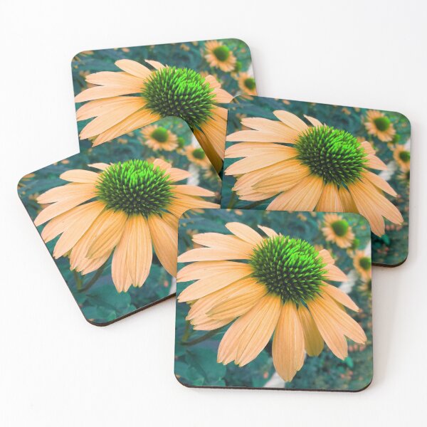 Item preview, Orange Coneflower Perennial designed and sold by hearthearts.