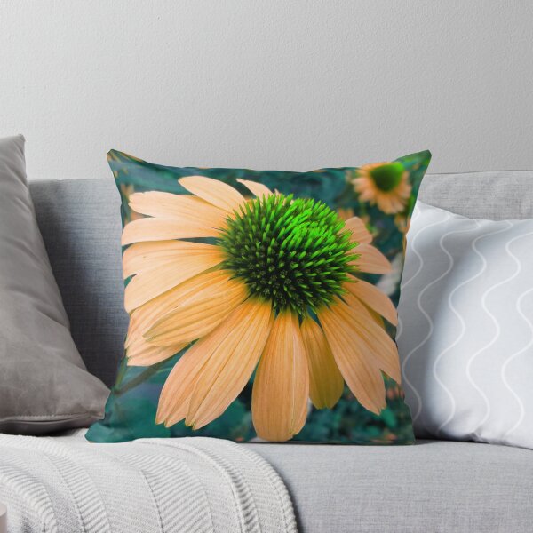 Item preview, Orange Coneflower Perennial designed and sold by hearthearts.