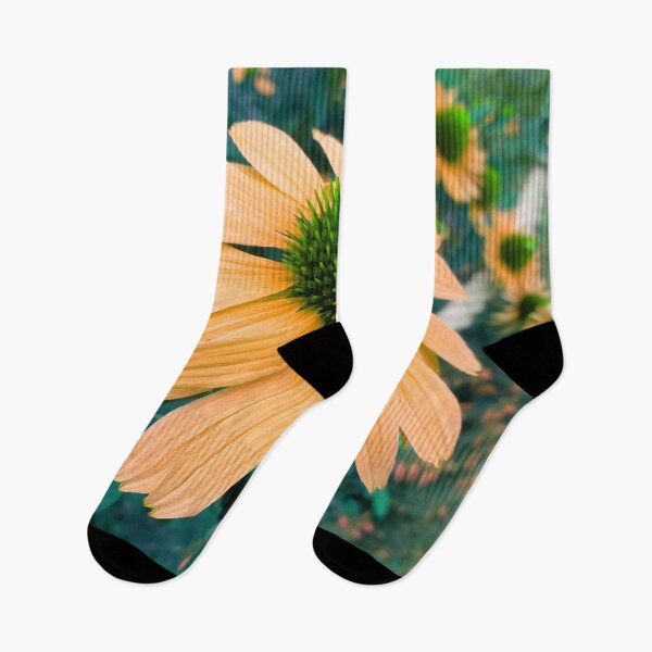 Item preview, Orange Coneflower Perennial designed and sold by hearthearts.