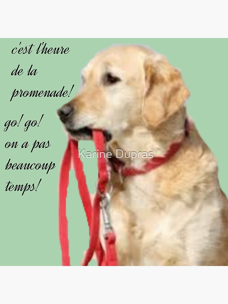 "The dog asking for a walk." Poster for Sale by Chefkarine1 Redbubble