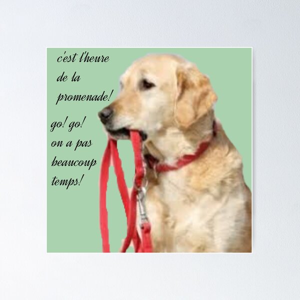 Item preview, The dog asking for a walk. designed and sold by Karine Dupras.