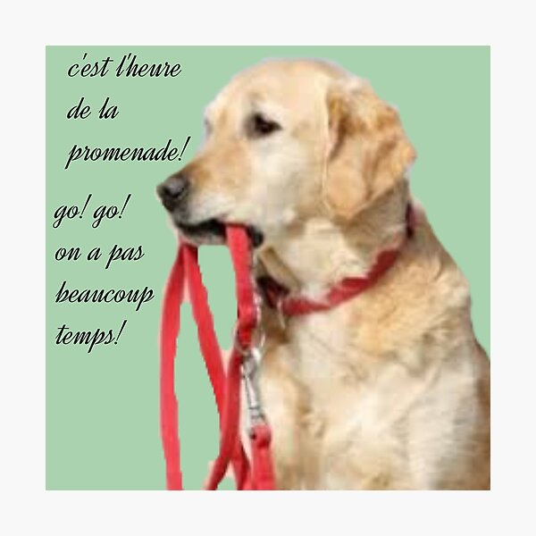Item preview, The dog asking for a walk. designed and sold by Karine Dupras.