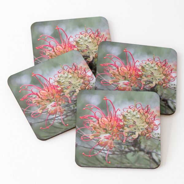 Item preview, Grevillea - Western Australian wildflower designed and sold by Life Images by Jill .