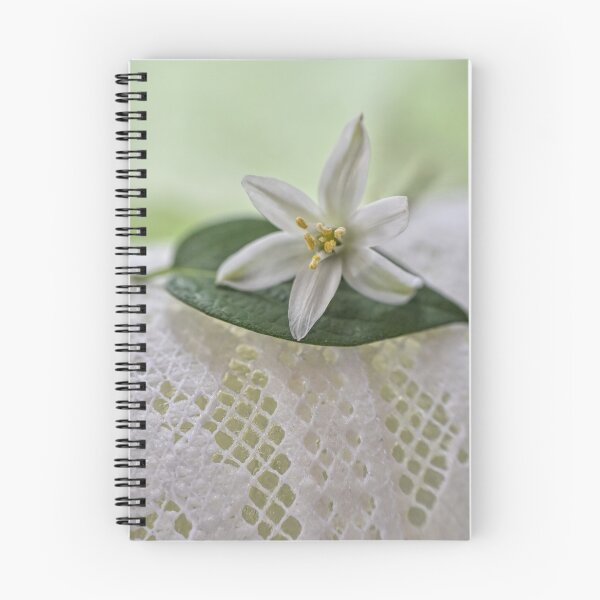 Item preview, graceful designed and sold by Heather Buechel.
